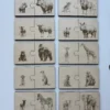 Duo puzzle en bois sur les animaux du safari (1O paires)