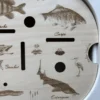 Insert sensoriel en bois - Poissons des rivières