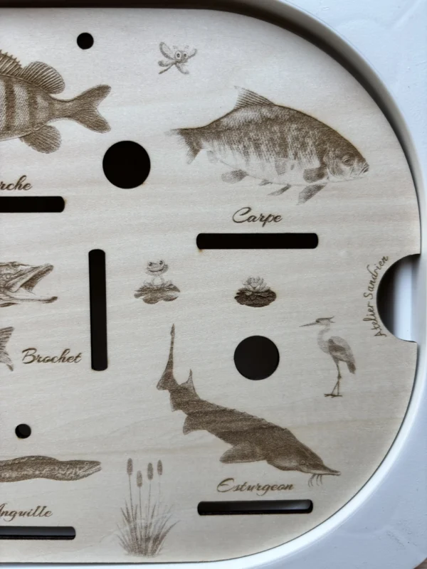 Insert sensoriel en bois - Poissons des rivières