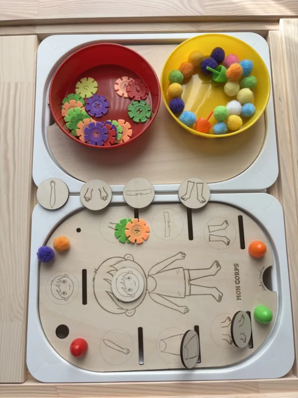 Insert sensoriel en bois - Découverte du corps humain