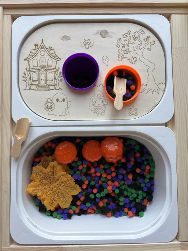 Insert sensoriel maison hantée en bois pour association visuelle et imagination