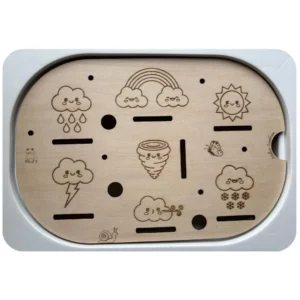 Insert sensoriel en bois avec météo pour observation et association