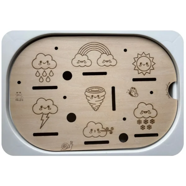 Insert sensoriel en bois avec météo pour observation et association