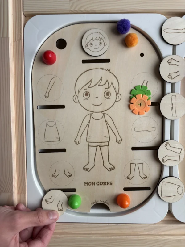 Insert sensoriel en bois le corps accessoires colorés accessoires posés et main d'enfant