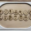 14 jetons en bois illustrés pour langage et association pour Insert sensoriel en bois métiers techniques
