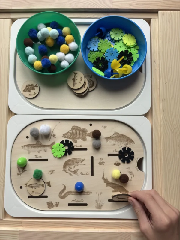 Insert sensoriel en bois - Poissons des rivières