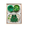 Insert sensoriel en bois - la grenouille remplie de pompons verts et différents accessoires