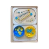 Insert sensoriel en bois - le xylophone avec bols accessoires