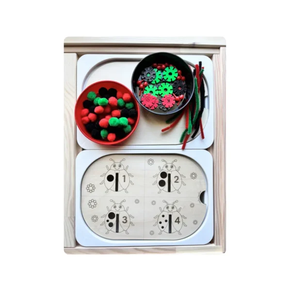 Insert sensoriel en bois avec 4 coccinelles et bols d’accessoires pour activité de tri et motricité fine enfant